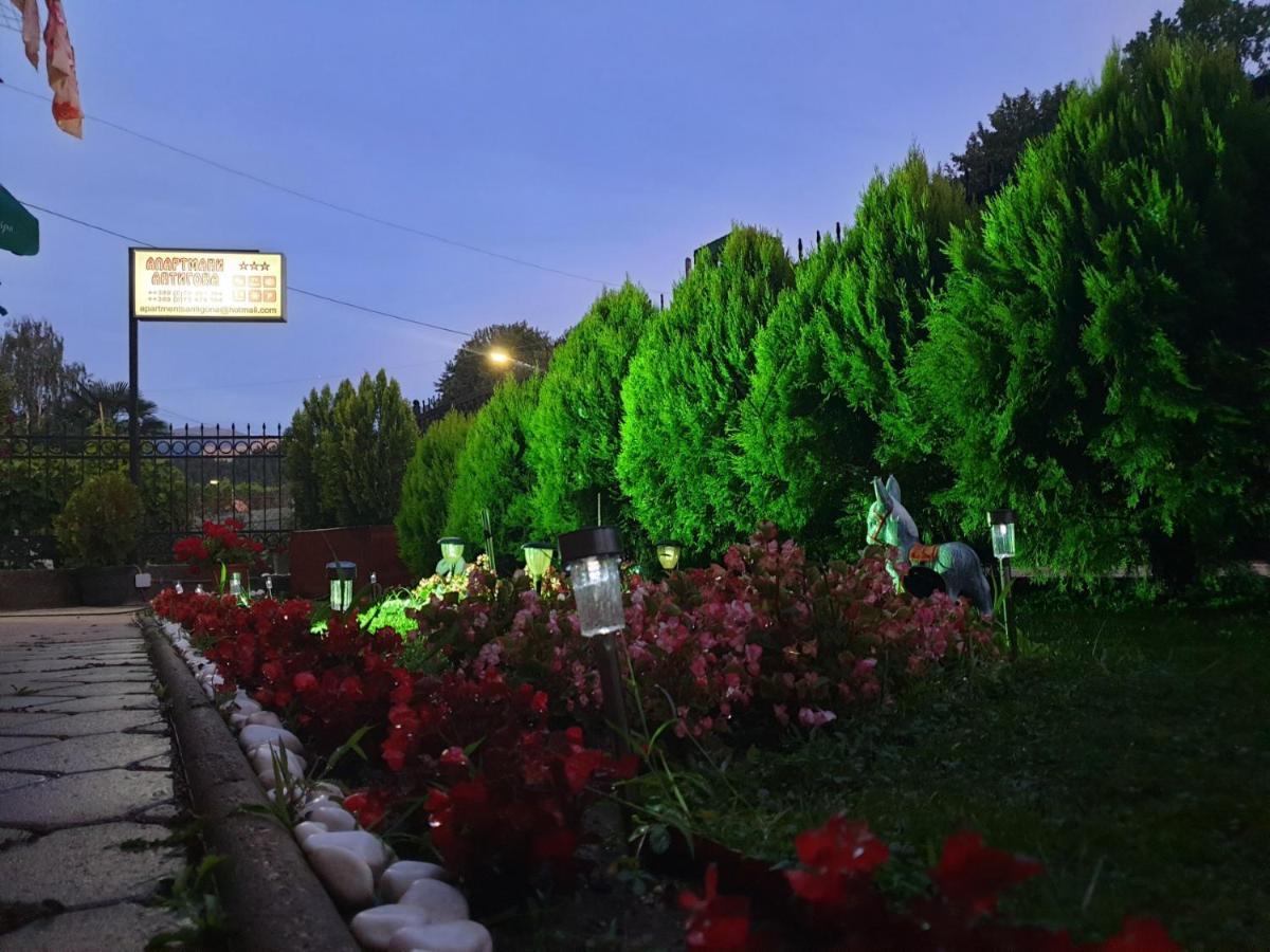 Villa & Apartments Antigona Ohrid Kültér fotó